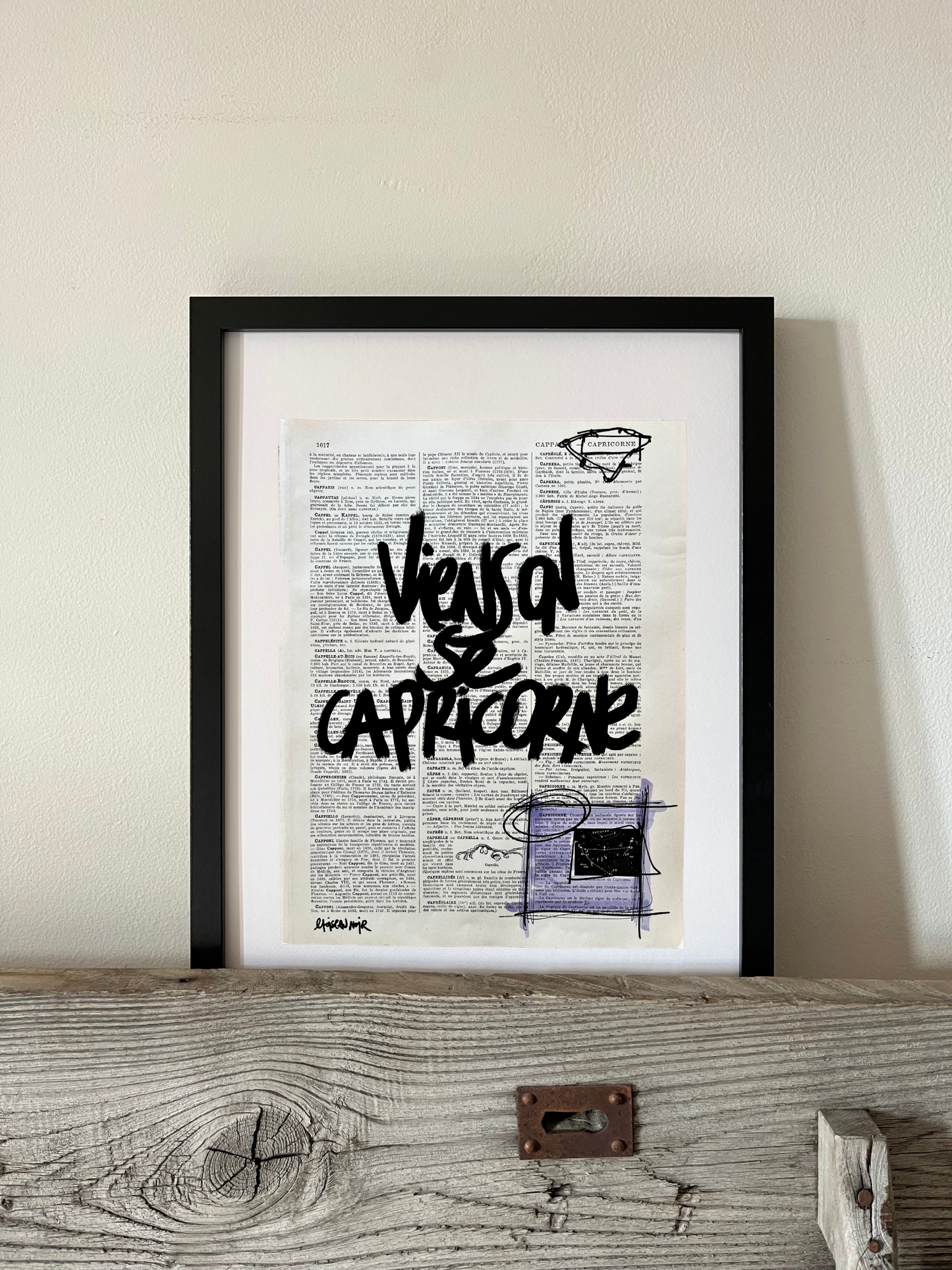 Affiche originale / Cadre "Viens on se capricorne"