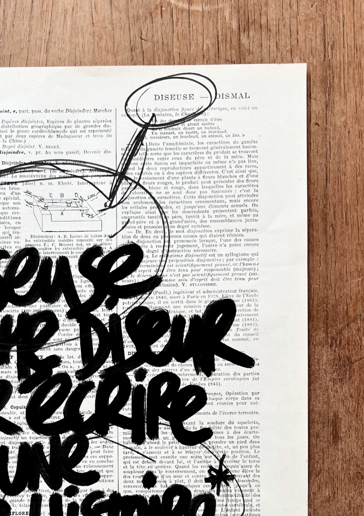 Affiche originale / Cadre "Diseuse cherche diseur"
