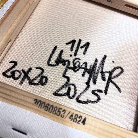 Ce que tu n'es pas I Œuvre originale sur toile de L’oiseau noir 20x20