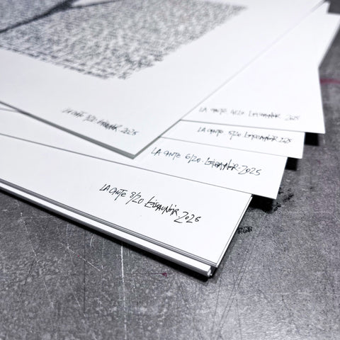 Affiche reproduction "La chute" 20 exemplaires numérotés et signés 30x40