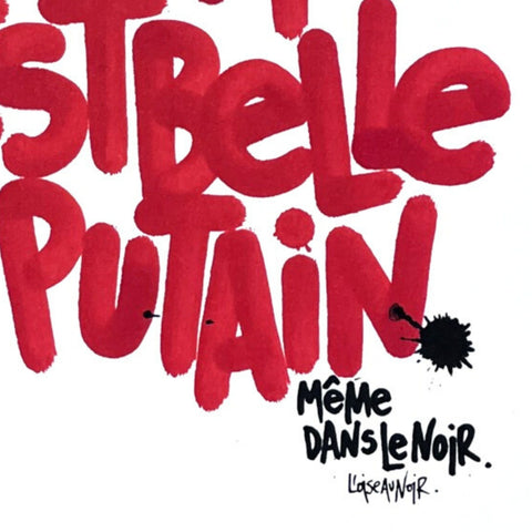 La vie en rose 4 I Œuvre originale encadrée de L’oiseau noir 30x42