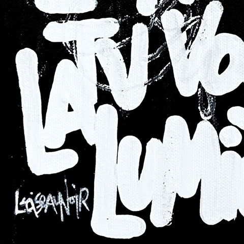 Noir I Œuvre originale sur toile de L’oiseau noir 22x16