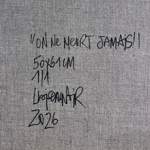 On ne meurt jamais I Œuvre originale sur toile de L’oiseau noir 50x61